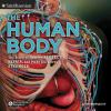 The_human_body