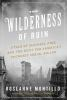 The_wilderness_of_ruin